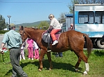 Drieok