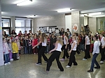 Vekonon radovnky