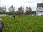arkanida