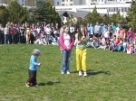 iv socha